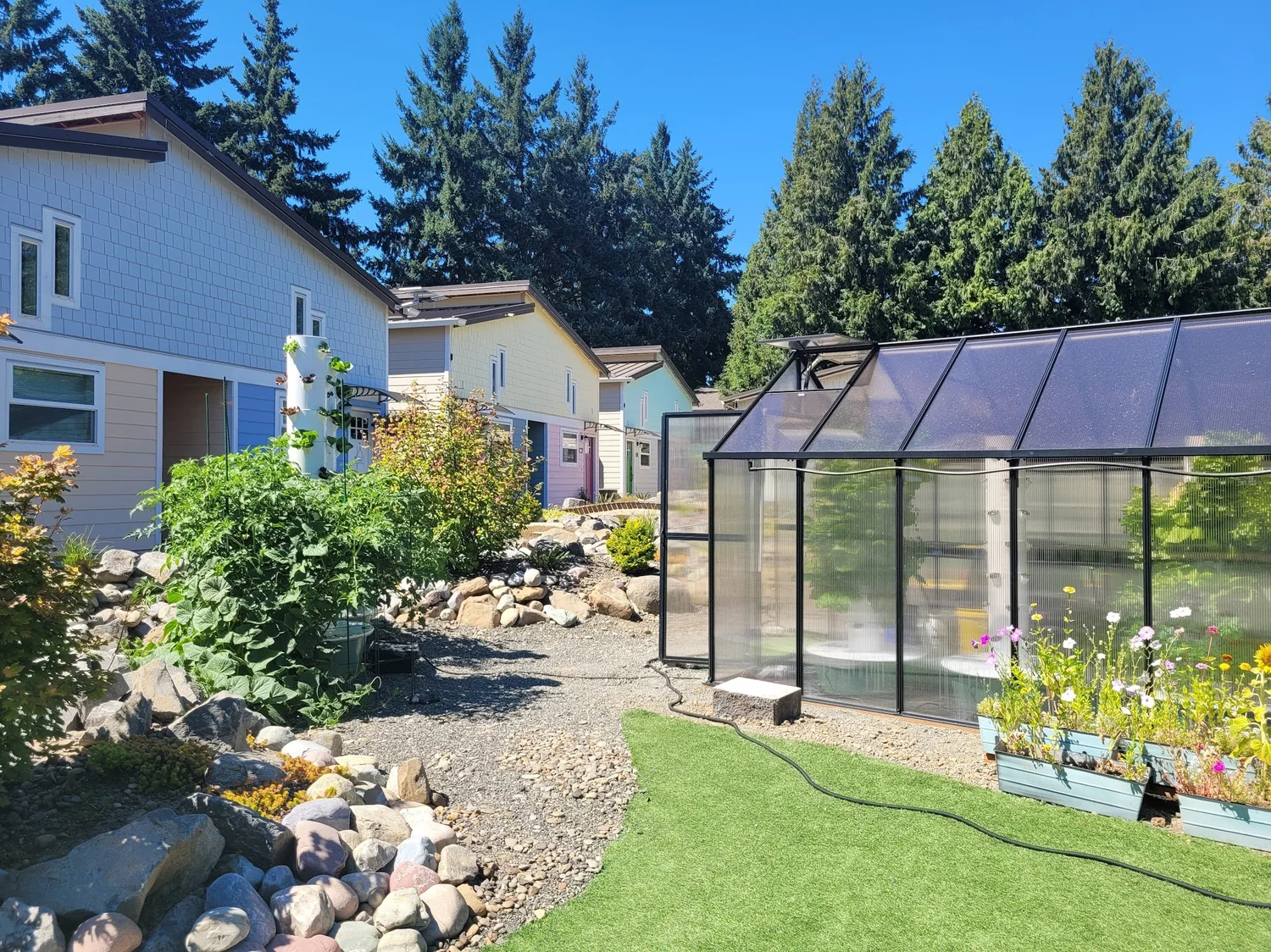 Next Step Strategies